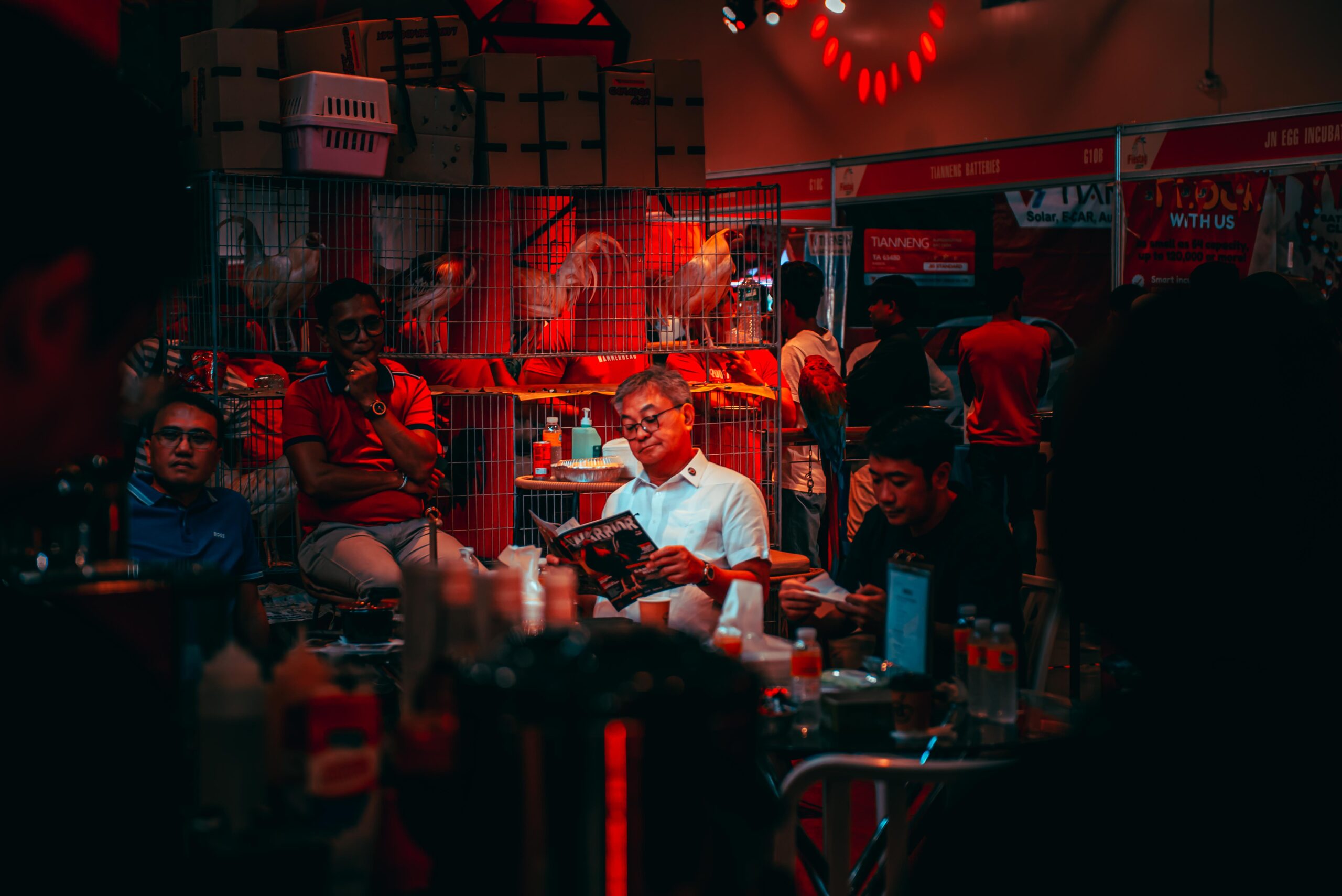 Purebred Warrior Magazine: Digital Issues Now Live on Page Flip