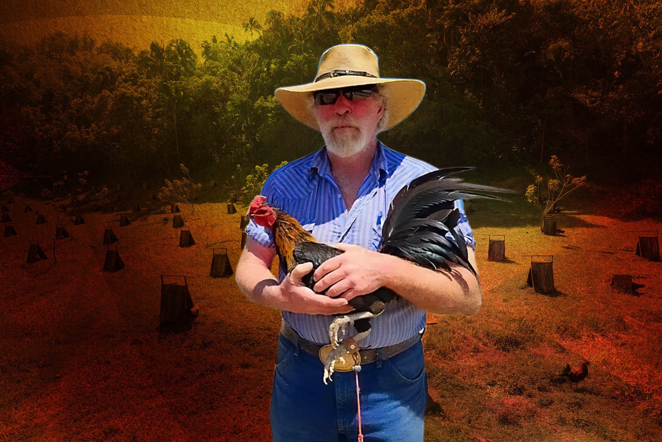 Understanding Orientals