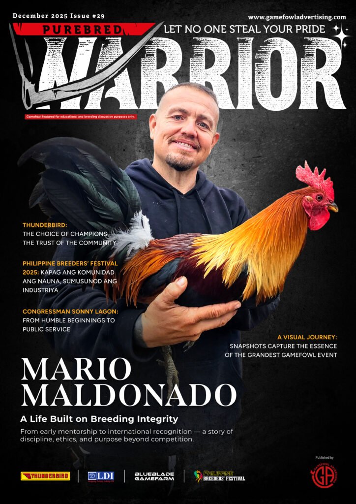 Purebre Warrior Magazine December 2025 Issue 29